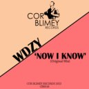 WDZY - Now I Know