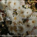 Steve Tosi - Double On Back