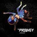 Prodigy - Experience
