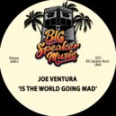 Joe Ventura - Is The World Going Mad