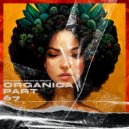 DIMTA - ORGANICA MIX PART 67
