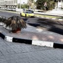 YD JUDGE - Lambo Song