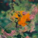 Baltra - druzy® (Original Mix)