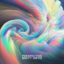 Brett Ortiz - Perspective ()