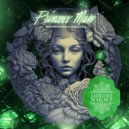 NOPARTAGER & Kaeshiro - Princess Man (Original Mix)