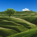 cansee & Hikki - Tree of life ()