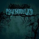 Raid On Death - Psychodelica ()