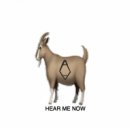 ANOM ALEEZ - Hear Me Now ()