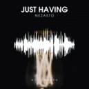 Nezasto - Just Having (Original Mix)
