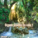 ralle.musik - Organic Grooves by ralle 7 ()