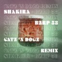 Shakira - Bzrp 53 (Catz \'N Dogz Extended Remix)