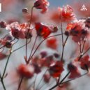 AstroPilot & Althai - Ai-Petri ()