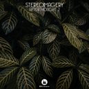 Stereoimagery - Make It Wet (Original Mix)