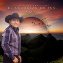 Cristian Castillo - Si Cómo No