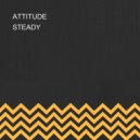 STEADY - ATTITUDE