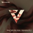 Kasey Taylor, AmegA - Impressions (Danny Bonnici Remix)