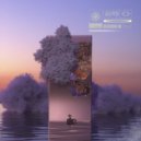 Sabirovski - Not An Organ ()