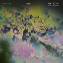 Faua - Kiteli