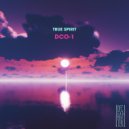 True Spirit - DCO-1 (Original Mix)
