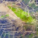 Lou Nime - Clustering Illusion