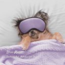 Korean Chill & Calm Dog Music & Dog Total Relax - Heartfelt Memories ()