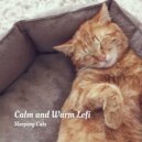 Beats De Rap & Animal Melody Wizard & The Real Animal relaxer - Dusk to Dawn ()