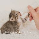 Lofi Radio & Cat Music & Music For Cats - Midnight Vibe