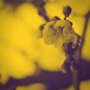 André (ARG) - Dying