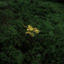 Main Phase - Ghosting in the Rave