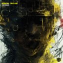 Rangel Coelho - Perception