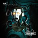 V.O.Y - Dark Meaning