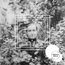 Debris Discs - Losing the Matriarch