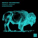 Marco Bedini - Indimius