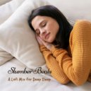 Lofi Nation & Lullaby Academy & Sleep Miracle - Winter Study