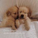 Total Relax Lo Fi Music & Sounds of the Everyday & Relax My Dog Music - Cool Sunday Vibes ()