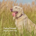 Beats De Rap & Dog Bedtime & Sleepy Moon - Acoustic Daydreams