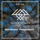 Anyer Quantum - Mausoleum of Immortality (Championship Edition)