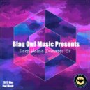 Blaq Owl - Chaotic Minds