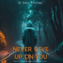 Qi Gong Journey - Never Give Up On You (Original Mix)