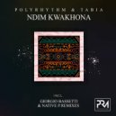 Polyrhyth,Tabia - Ndim Kwakhona