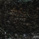 Успешный Проект 7531 & Trent Williams - I Saw This Before ()