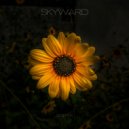 Anitek - Skyward