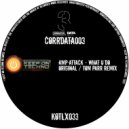 Amp Attack - What U Do