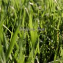 Fiona Corinne - Just Go