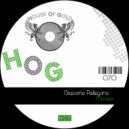 Giacomo Pellegrino - Transfer