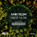 Amir Telem - Embrace The Pain