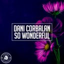 Dani Corbalan - So Wonderful