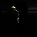 YoungHapa & 15th white light - Wassup ()