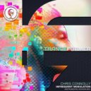 Chris Connolly - Infrequent Modulation (Instrumental Rework Mix)