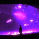 NN477 - thálassa (Slowed, Reverb)